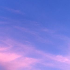 Meet your Posher, Apeksha